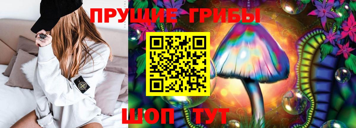 Псилоцибиновые грибы Psilocybe Волоколамск
